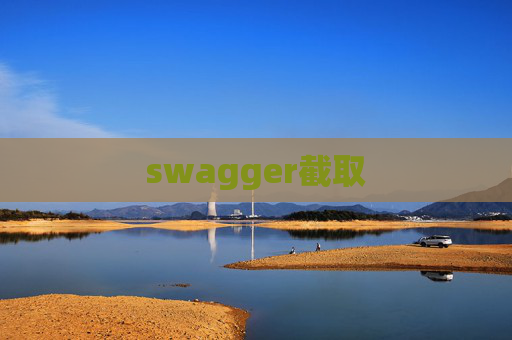 swagger截取
